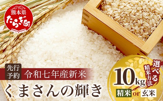 令和7年産新米【白米/玄米選べる 10kg】 くまさんの輝き 10kg