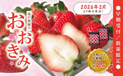 いちご☆プロフ必読様お取り置き商品（1月20日購入）フランスアンティークキャビ いちご☆プロフ必読様お取り置き商品（1月20日購入）フランス