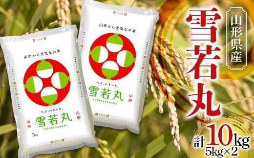 令和7年産 JA 雪若丸 10kg (5kg×2袋) 『JA山形おきたま』 山形県産 米