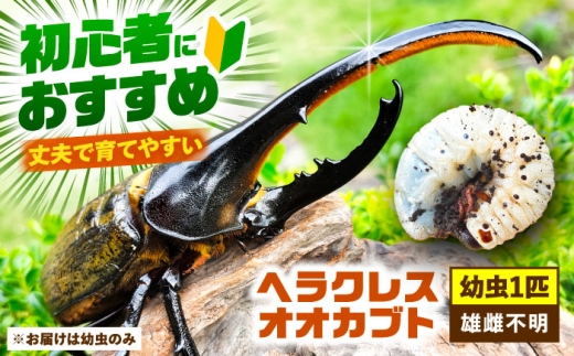 sd1_ef1b0846ce8d3bd2b857606b5e sd1_ef1b0846ce8d3bd2b857606b5e
