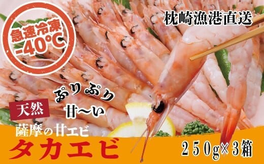 天然タカエビ250g×3箱 A1-1_ エビ 甘エビ 海老 あまえび 天然 海鮮