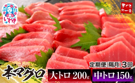 y킫szy/u/v3z{}OggZbg350giv1050gj| { {܂ }O g Ƃ hg   CN i 𓀃Vst 1TN^