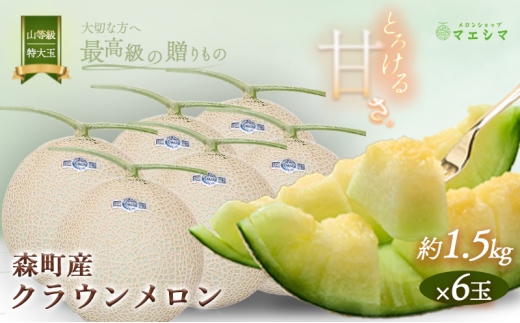 【静岡県森町】クラウンメロン【上(山等級)】特大玉(1.5kg前後)6玉入り