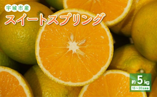 和歌山　スイートスプリング　5kg　変更　せとか追加 訳あり スイートスプリング 5キロ前後 熊本産 ご家庭用 贈答用不可