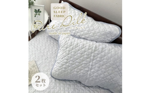 y{ݘacszSTCY 35×50cmsAVNpbh2g O[ SCC-3550C-2P [5385-0823]