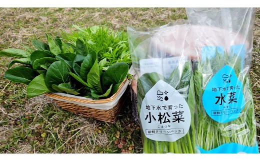 yLLsz؁A؂̋lߍ킹 e12