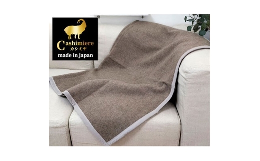 y{ݘacszЂ|TCY@ۂ̕΃JV~100%(щH)ѕz@CS-12H@BE [5385-0739]