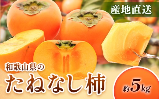 ya̎Rz10蔭˂Ȃ`  5kg  j` Ђ炽˂Ȃ rc_s10{-12{oׁt a̎R  ` JL  ˂Ȃ W[V[ t