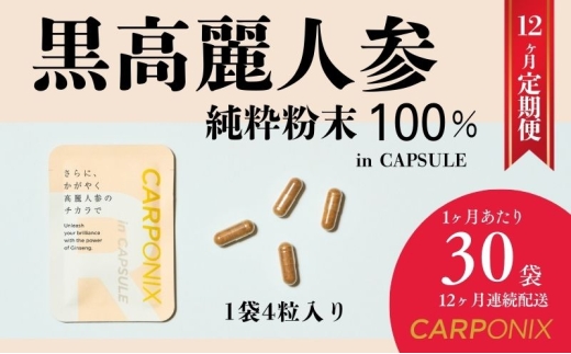 黒高麗人参「CARPONIX」4粒入り×30袋 【定期便 12ヶ月】 サプリメント
