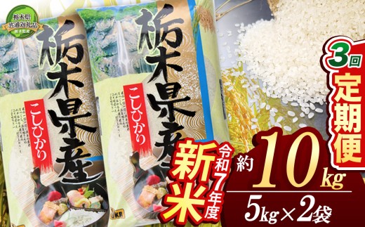 令和6年 新米 栃木県産コシヒカリ 20kg(10kg×2袋)☆白米】