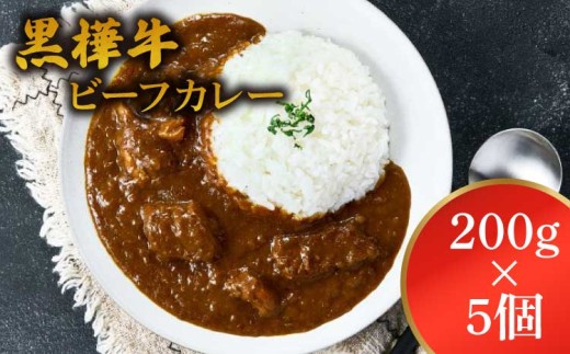 ふるさと納税 黒樺牛ビーフカレー  1食 200g×5個 合計1kg 黒毛和牛 くろはなぎゅうビーフカレー カレー.. 熊本県宇城市 黒樺牛 ビーフカレー TBS 「熱狂マニアさん！」で紹介 1食 200g×5