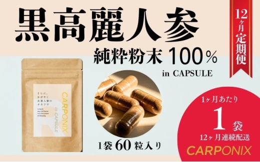 黒高麗人参「CARPONIX」60粒入り×1袋 【定期便 12ヶ月】 サプリメント