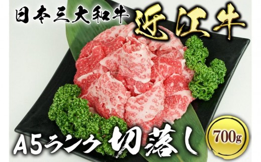 yꌧÎszߍ] A5N ؗ 700g