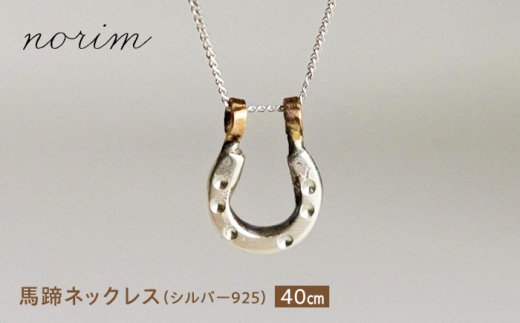 yꌧIsznlbNX Vo[925 (40cm)/ n n ObY n  E}  n nhCh lbNX ANZT[ Vo[ / Is / norim [BIBP001]