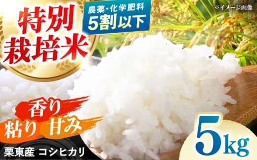 yꌧIszߘa7NxY IY ʍ͔| RVqJ 5kg /  ͂ Sn V ߘa7NY / Is / [N_Ƌg[BIBV007]