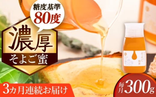 y򕌌Qszy3ցz ̂悲 300g Qs / x{I ݂͂ I Y [AZCF010]