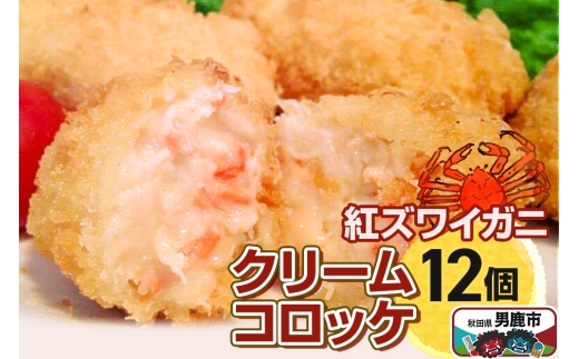 yHcjszjYxjYCKj̃N[RbP40g×12 X