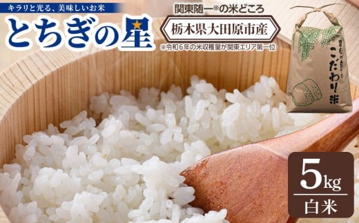 yȖ،cszyߘa7NY VāzȖ، csY Ƃ̐  5kg bR   _ƒ Yn Y ʌ