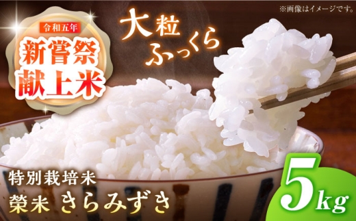 yꌧIszys\E25N11ȍ~zʍ͔|āwĕāx݂ 5kg Is / AMAt@~[YĔ_ [BIAI023]