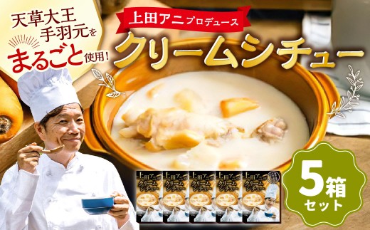 上田アニのクリームシチュー5箱セット 250g×5箱 合計1.25kg シチュー