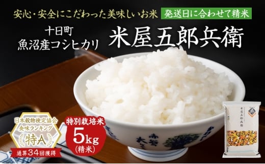 yV\szyߘa7NYāzRVqJ ĉܘYq͕5kg Iׂz      ʍ͔|