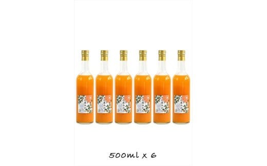 【神奈川県小田原市】【定期便 9回】小田原産江之浦みかん100%ストレートジュース500ml6本