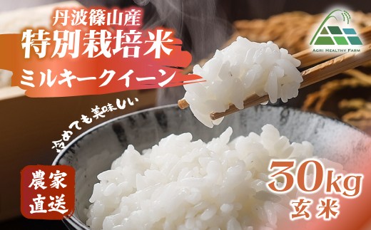 2025年産】丹波篠山産特別栽培ミルキークイーン 玄米 30kg 兵庫県 丹波