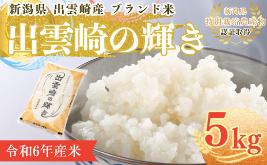 1ヶ月以内発送・数量限定】令和6年産 コシヒカリ 特別栽培米 1ヶ月以内発送・数量限定】令和6年産 コシヒカリ 特別栽培米