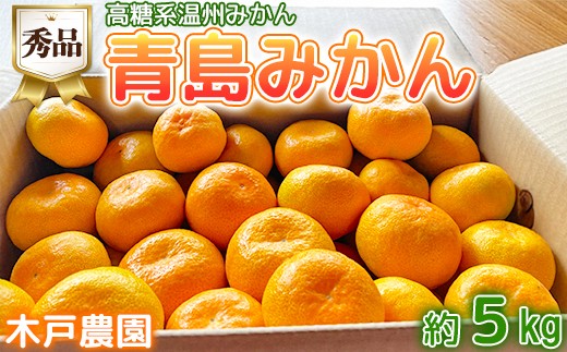 果樹木青島です。 みかん 青島温州 4号ロングポット 1年生苗｜柑橘｜果樹04-PA | 果樹