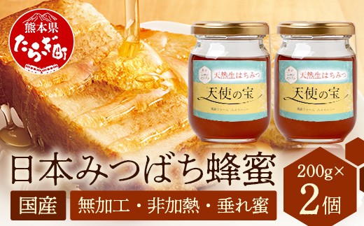 日本みつばち 蜂蜜「天使の宝」2個 セット 【 希少 ニホンミツバチ 100