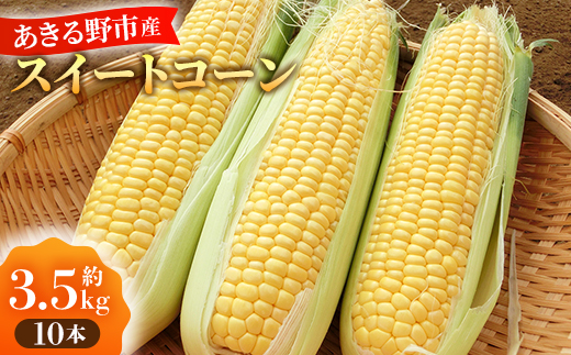あきる野市産とうもろこし 10本(2026年7月発送開始)【1623819】 - 東京