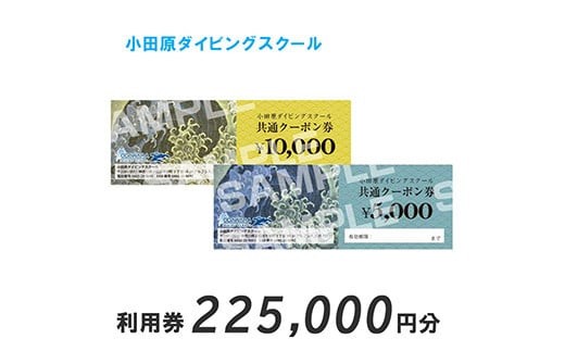小田原ダイビングスクール 共通クーポン券 225,000円分| スクール