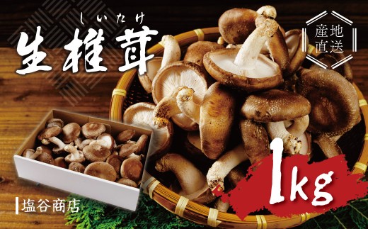 無農薬 無肥料 静岡県 伊豆産 原木 栽培 生しいたけ 椎茸 しいたけ