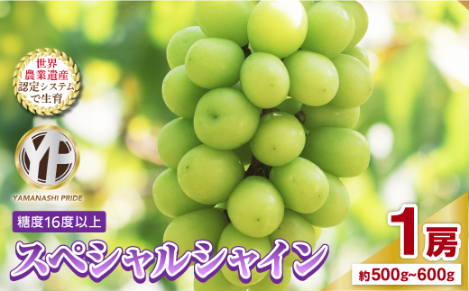 ふるさと納税 山梨県 山梨市 フルーツ王国山梨産厳選シャインマスカット 3〜4房 (約 2kg ) YAMANASHI PRIDE ふるさと納税 ぶどう マスカット 山梨県 山梨市 フルーツ王国山梨産