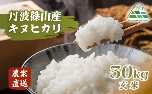 2025年産】丹波篠山産キヌヒカリ 玄米 30kg 兵庫県 丹波篠山市 げん