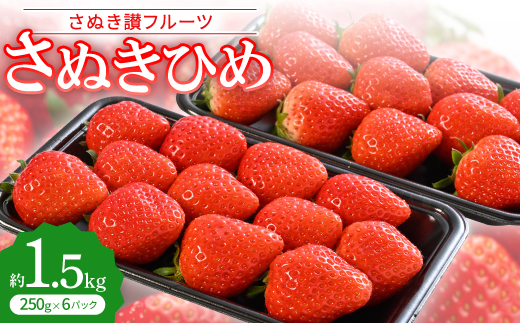 y쌧zuʂ]t[cvʂЂ @1.5kg(250g×6pbN)ߘa8N1`3y1608474z