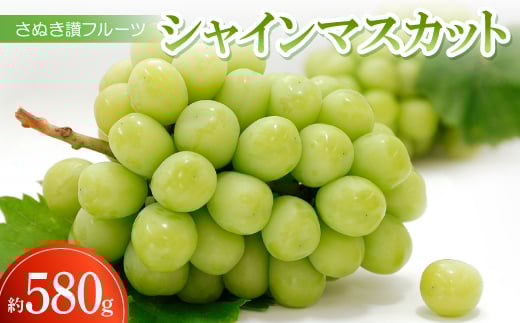 y쌧zʂ]t[cuVC}XJbgv580g ߘa8N7`10y1609824z