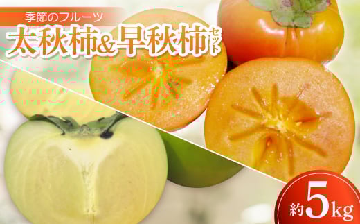 y쌧zG߂̃t[cuH`&H`Zbgvv5kgߘa8N9`10y1609821z