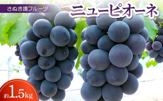 y쌧zʂ]t[cuj[sI[lv1.5kg ߘa8N8`9y1609802z