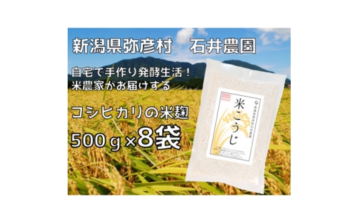 yVFzĂ 500g×8܁VF Έ_ VFؓʍ͔| RVqJgpy1637007z