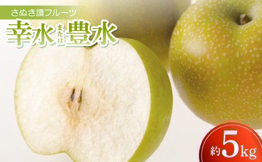 y쌧zʂ]t[cuK܂͖Lv5kgߘa8N8`9y1609818z