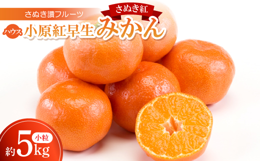 y쌧zʂ]t[cunEXg݂(ʂg)v5kg ߘa8N7`8y1609810z