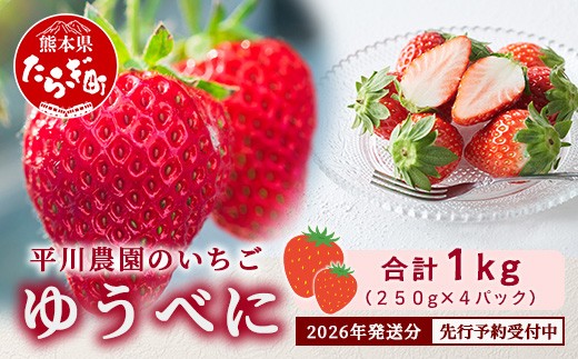 2026年出荷 先行予約】熊本県産 いちご ゆうべに 1箱 (250g×4パック
