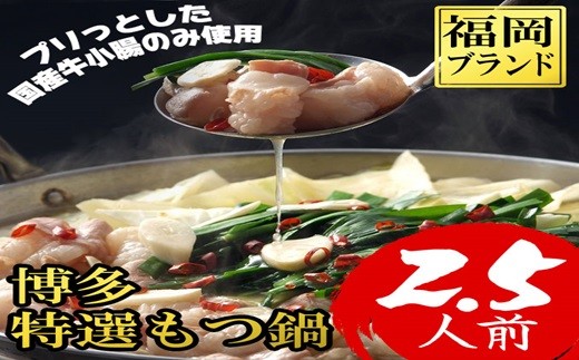 【福岡県赤村】博多特選もつ鍋 2.5人前 4R14