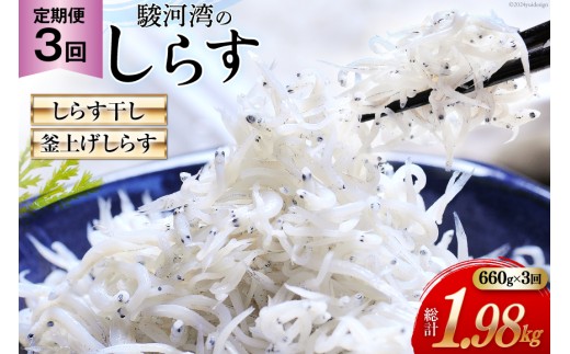 yÉgcz3  x͘pY 炷 100g×3 グ炷 120g×3 v6pbN [}Y É gc 22424642]  CN 炷 q VX V Ⴑ  Ⴑ 炷