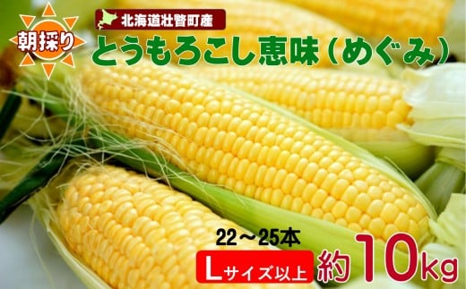 ykCs˒z2026N8{肨͂ŷzkCs˒Y@Ƃ낱bi߂݁jLTCYȏ10kgi22`25{j y ӂ邳Ɣ[ lC  LO Ƃ낱