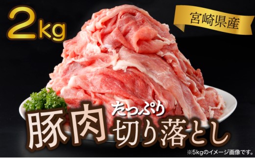 y{茧Ԏsz2025N11{茧Y ؓ؂藎Ƃ 250g×8pbN v2kg