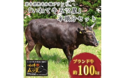 【岩手県一戸町】岩手県黒毛和種ブランド『いわて牛五ッ星』半頭分 精肉セット【1637913】