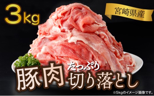 y{茧Ԏsz2025N12{茧Y ؓ؂藎Ƃ 250g×12pbN v3kg
