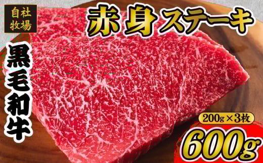 【宮崎県小林市】【自社牧場和牛】小林市産 黒毛和牛 赤身ステーキ 200g×3枚(牛肉 国産牛 黒毛和牛 和牛 赤身 ステーキ)
